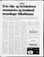 Síða 19