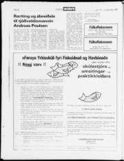 Síða 20