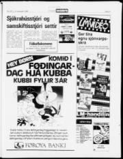 Síða 21