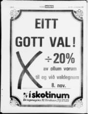 Síða 22