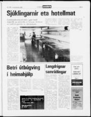 Síða 3