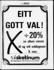 Síða 17