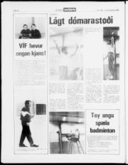 Síða 22