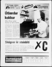 Síða 24