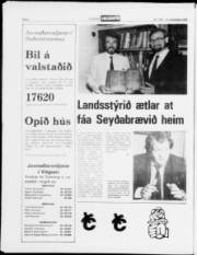 Síða 2