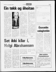 Síða 5