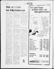 Síða 17