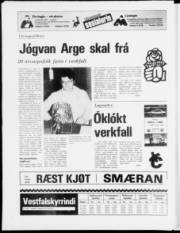 Síða 23