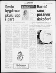 Síða 20