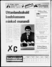 Síða 23