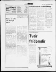 Síða 6