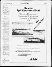 Síða 12