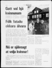 Síða 2
