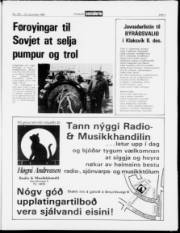 Síða 3