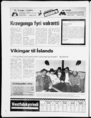 Síða 24