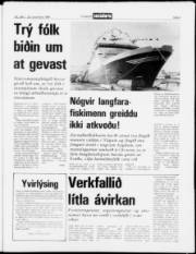 Síða 3