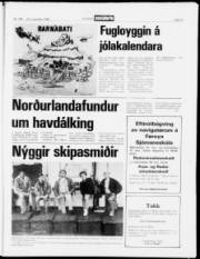 Síða 13