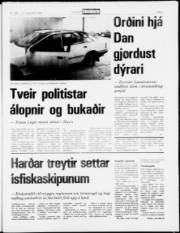 Síða 5