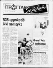Síða 17