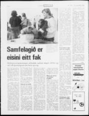 Síða 2