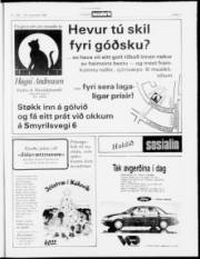 Síða 21