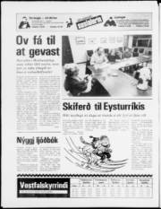 Síða 24