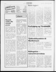 Síða 6