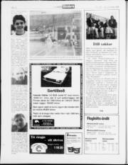 Síða 12
