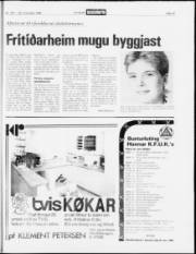 Síða 13