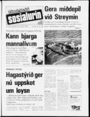 Síða 1