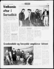 Síða 3