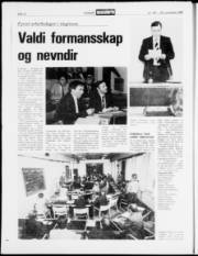 Síða 12