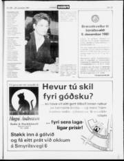 Síða 13