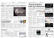 Síða 8