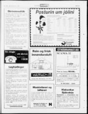 Síða 23