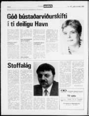Síða 8