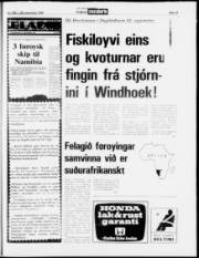 Síða 19