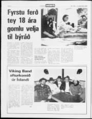 Síða 2