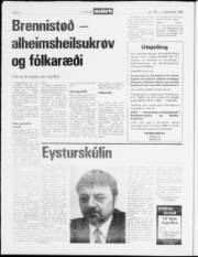 Síða 8