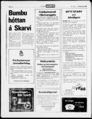 Síða 14