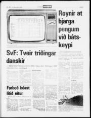 Síða 5