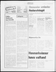 Síða 6