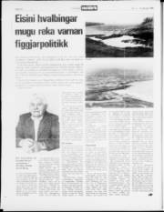 Síða 14