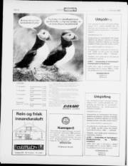 Síða 18