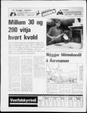 Síða 24