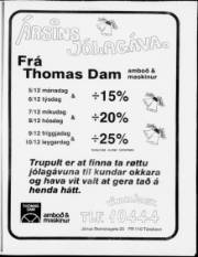 Síða 15