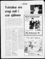 Síða 22