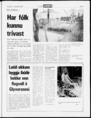 Síða 3