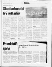 Síða 13