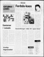 Síða 19